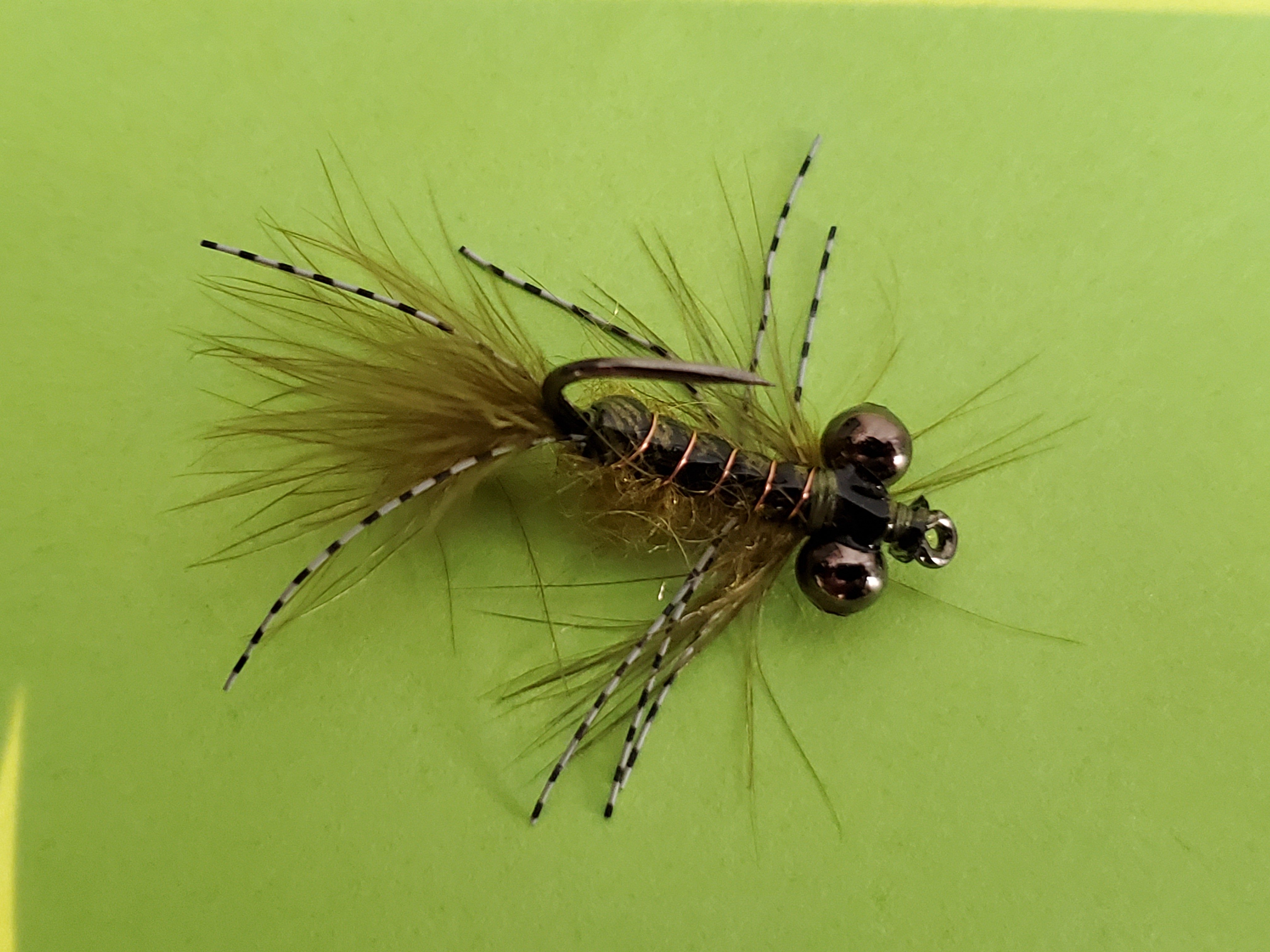 Damselfly Nymph The Carp Catcher